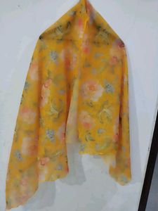 Beautiful Organza Type Suit