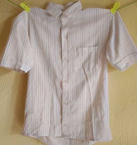 Man's T- Shirt