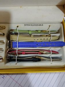 Interchangeable Watch