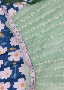 Mint Green Lehenga Choli