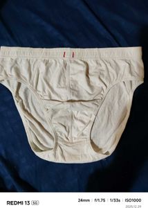 White Innerwear Briefs