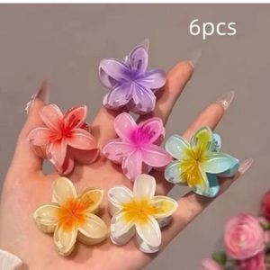 Pinteresty Hair Clips