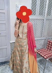 Banarasi Multi Colour Gown😍
