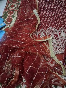 Heavy Party Wear Sharar Dress