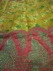 Embroidered Lehenga Skirt