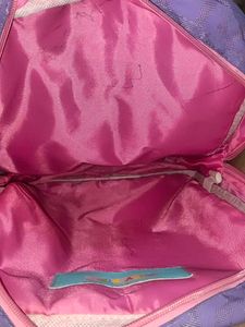 School/Picnic Bag