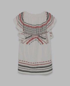 Zara Embroidered Mini Dress