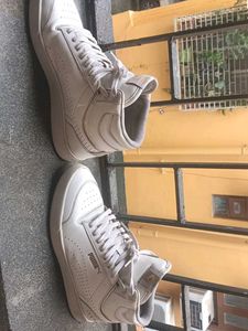 Puma Shoes Just Like New.