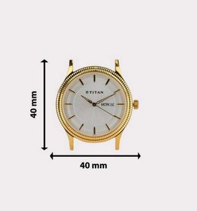 Titan Analog Watch Gold Case