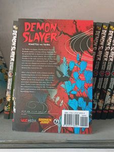 Demon Slayer: Kimetsu no Yaiba Vol. 4