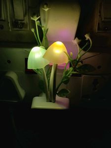 3 Light=Colour Auto Matic Changing