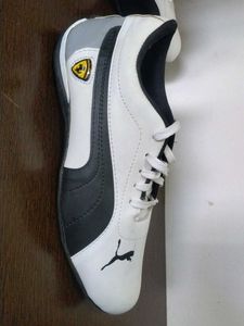 Puma Speecat