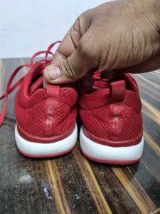 Girls Skechers Shoes Original New Condition