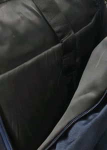 Skybags Backpack