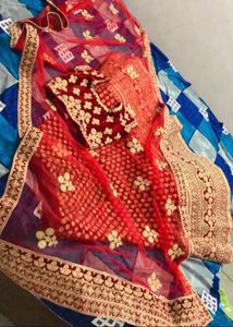 Beautiful Elegant bridal lahnga Choli With Dupatta