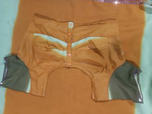 saree with stitched blouse