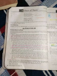 Class 10 NCERT CBSE English First Flight Helpbook