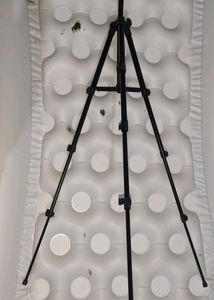 Best Offer Ringlight With Tripod Stand