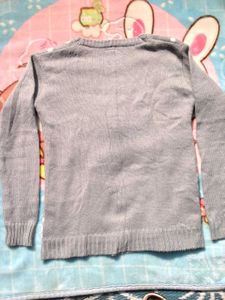 Furry Sweater