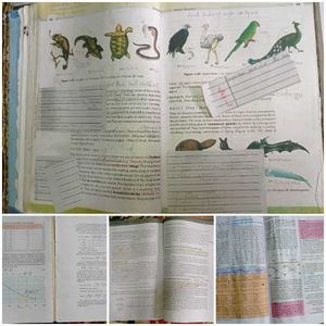 Ncert 11 and 12 book ( pcb ).  Neet Boo