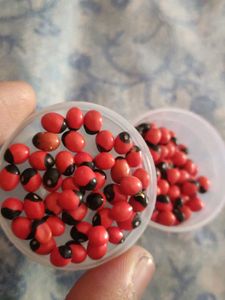 Red Gunja Seeds for DIY And Decor