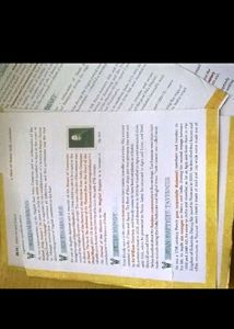 Indian Art And Culture