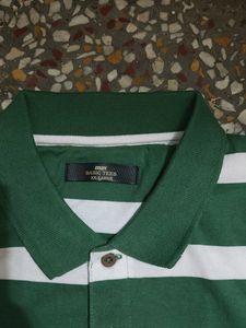 Striped Green Polo Shirt