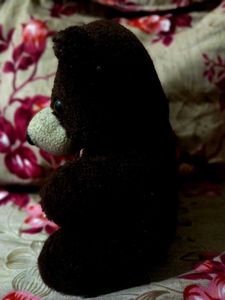 Cute Teddy Bear