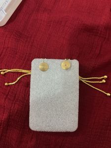 Gold Tone Dangle Earrings