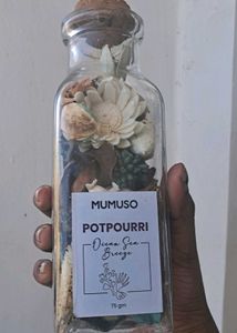 Combo Mumuso Room Breezer/Freshner And Flower Pot