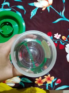 New Bird Food/Water Feeder