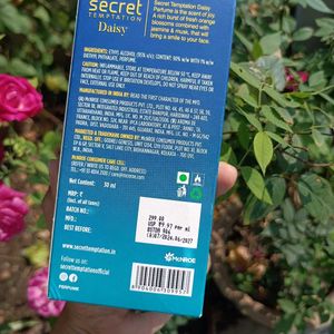 Secret Temptation Daisy Perfume