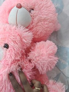 Pink Plush Teddy Bear Set