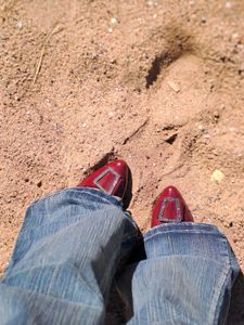 burgundy Korean pointed ballerinas