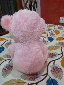 Teddy