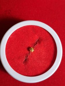 Cute Gold Nose Pin
