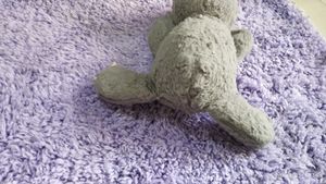 Cute Sloth Plush Pet Toy