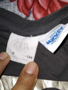 ZARA T- Shirt  (Top)