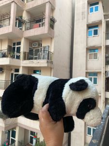 Archies Soft Toy Panda