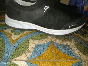 Asian Brand Shoe