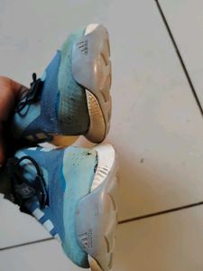 Adidas Terrex Trekking Shoes &#34;original&#34;