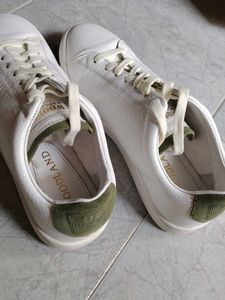 Sneaker for Men