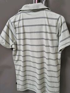 T Shirt With Collar