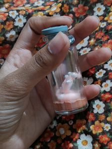 Miniature Bottels Clay Art (homemade) ⭐