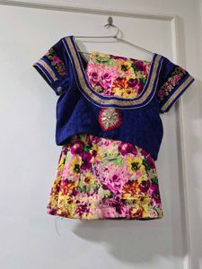 Elegant Pink half /half Embroidered Saree