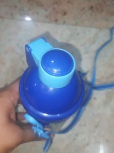 Unused Cinderella Water Bottle Blue