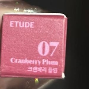 Etude Mini Fixing Matte Tint