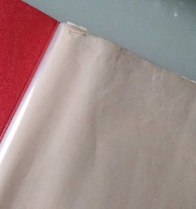 Folder With Transparent Plastic Sleeves