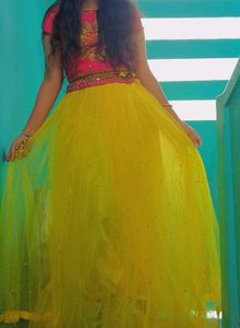 Gorgeous Lehenga Choli