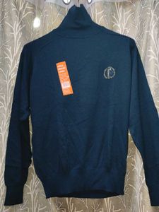 Elegant Turtleneck Sweater